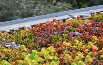 the cost of Hainault green roof installation