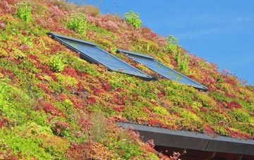 Hainault living roof systems